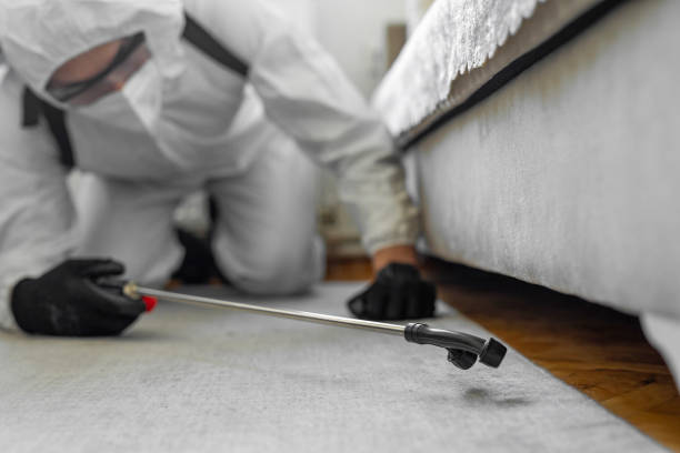 Professional Cockroach Control technician working in Round Lake Beach, IL