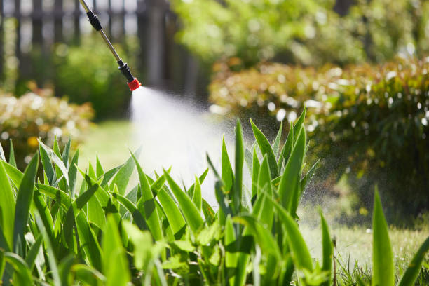24/7 Emergency Cockroach Control experts in Round Lake Beach, IL