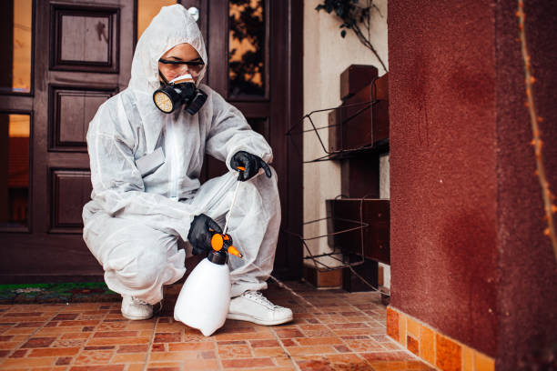 Reliable Cockroach Control contractor in Round Lake Beach, IL by Nex Pest Control