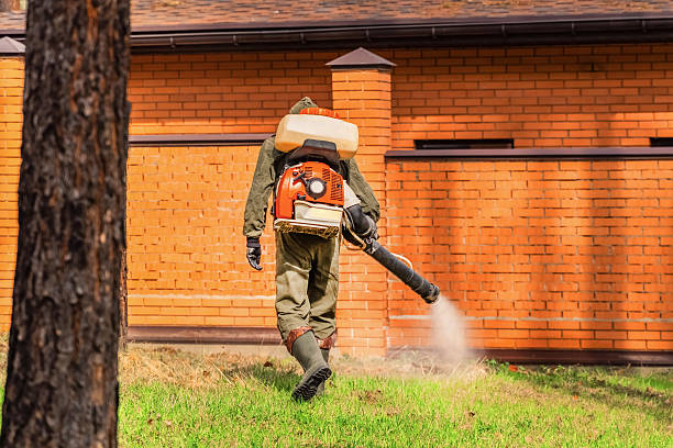 Trusted Fumigation Services service in Round Lake Beach, IL - Nex Pest Control